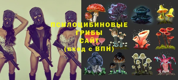 MDMA Premium VHQ Гусев